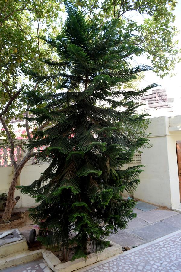 Hotel Kamal Villas Pushkar Buitenkant foto